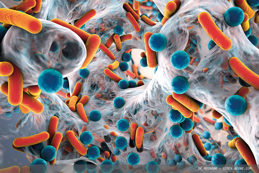 Shaping the future of safer healthcare