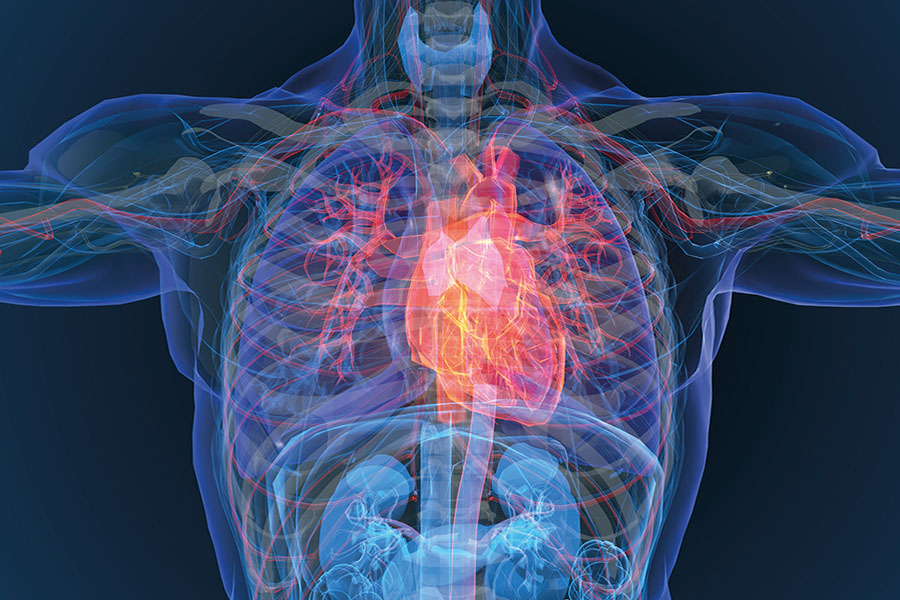 New data on effective cardiac resynchronisation in patients with heart failure 