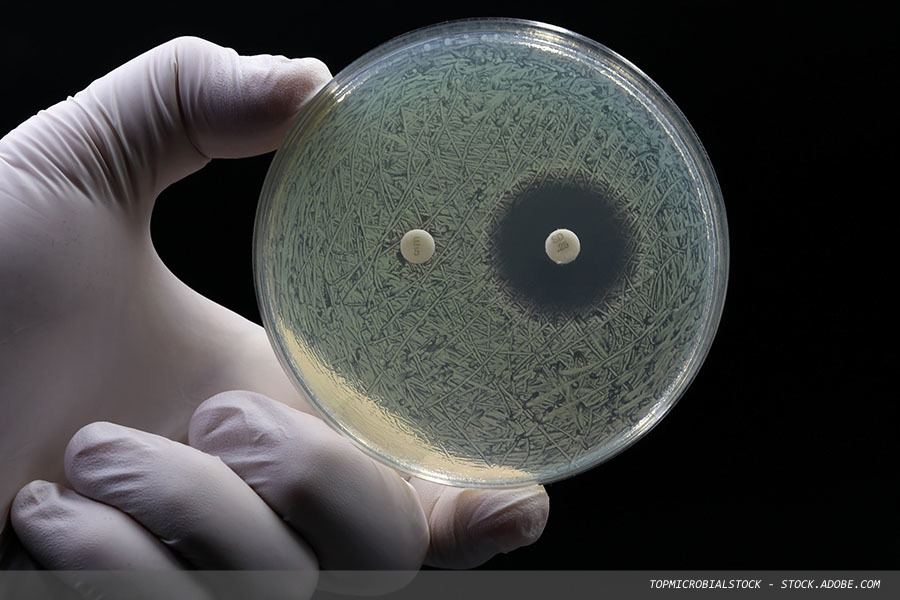 Infection Prevention 2026: where the future of IPC takes shape